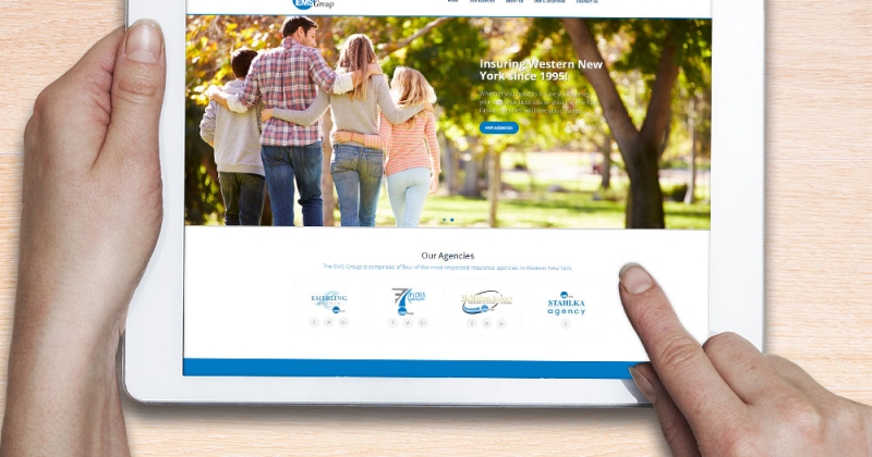 EMS Group website launched
